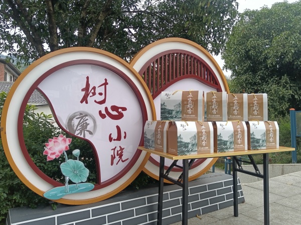 五寶鎮大樹村“樹心小院”。江北區委宣傳部供圖