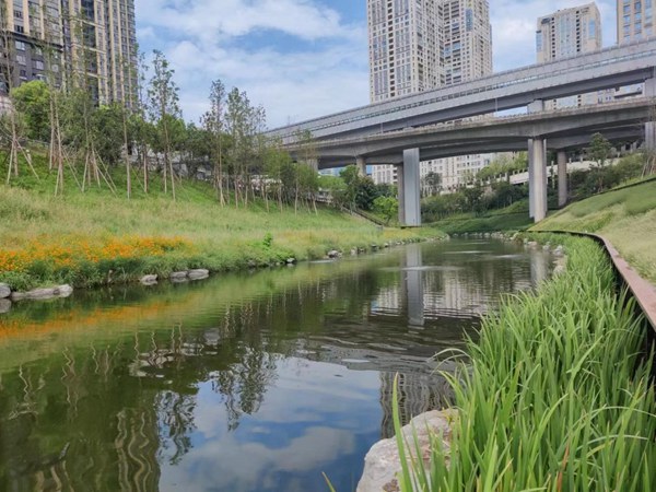 溉瀾溪“清水綠岸”治理提升工程。重慶設計集團有限公司市政設計研究院供圖