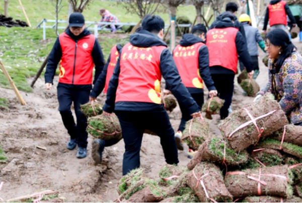 志愿者幫助村民搬送草皮。 三峽水務公司供圖