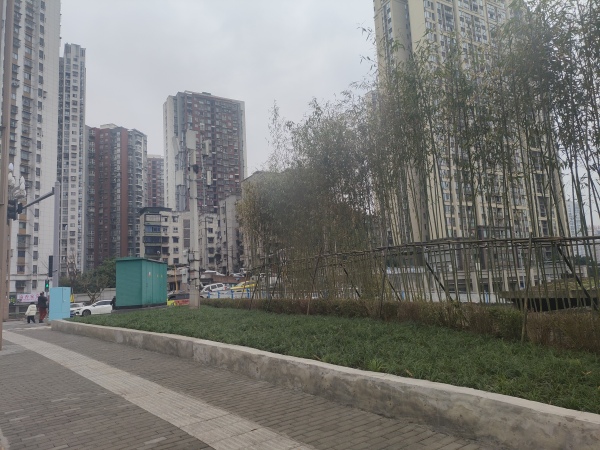 云龍大道整治后。九龍坡區城管局供圖