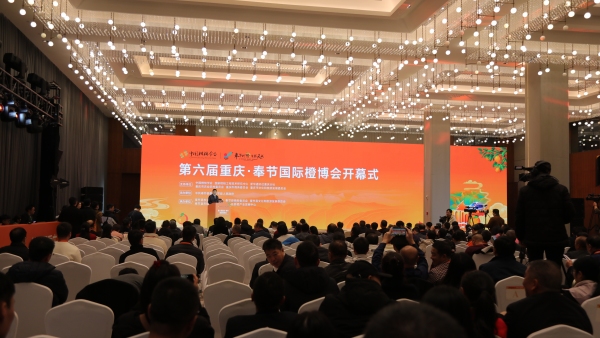 第六屆重慶·奉節國際橙博會開幕。劉濱清攝