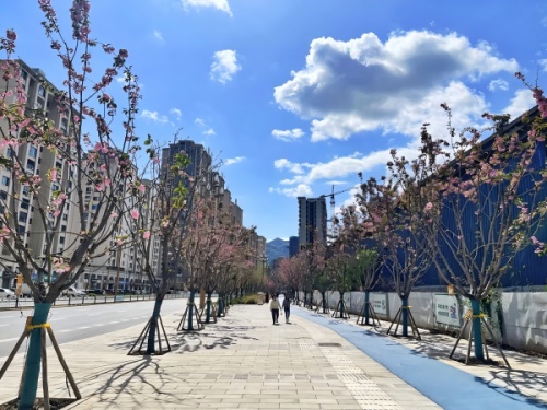 竣工后的夔州西路。重慶設計集團有限公司市政設計研究院供圖