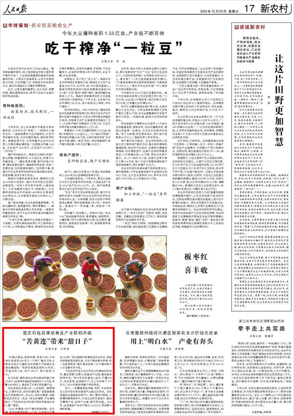 《 人民日報 》( 2024年12月20日 17 版)