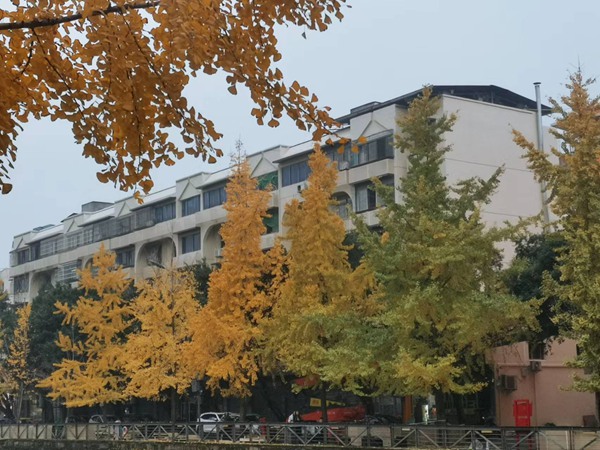 改造后的小區。璧山區住房城鄉建委供圖