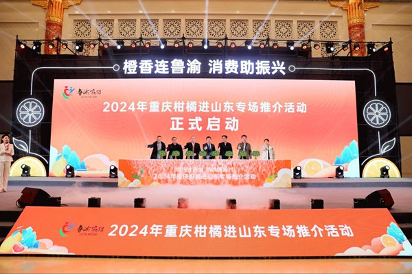 活動現場。主辦方供圖