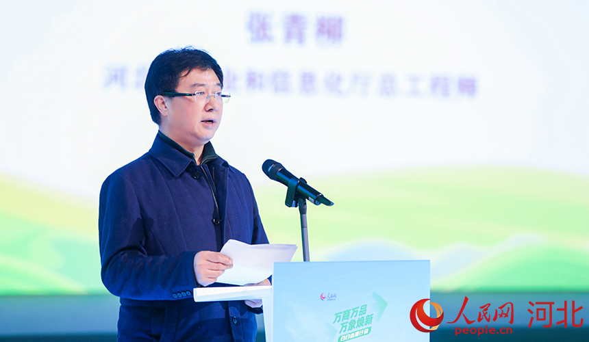 河北省工業和信息化廳總工程師張青柳講話。人民網記者 李兆民攝