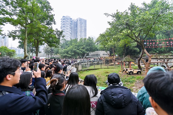 活動現場。長安啟源供圖