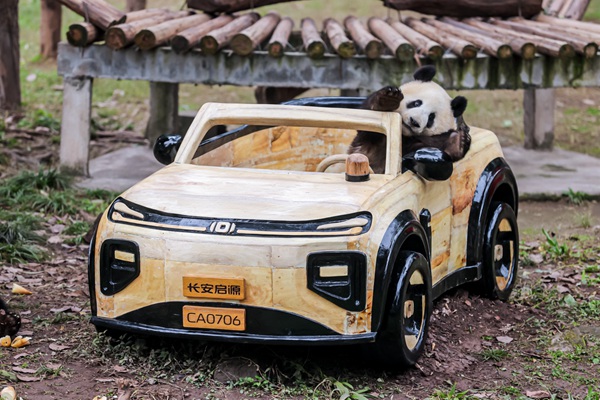 莽燦燦換新車。長安啟源供圖