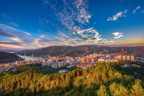 荔枝街道全景。荔枝街道供圖