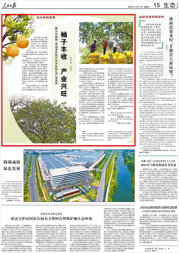《 人民日報 》（ 2025年01月14日 15 版）