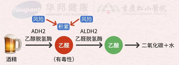 示意圖。重慶松山醫院供圖