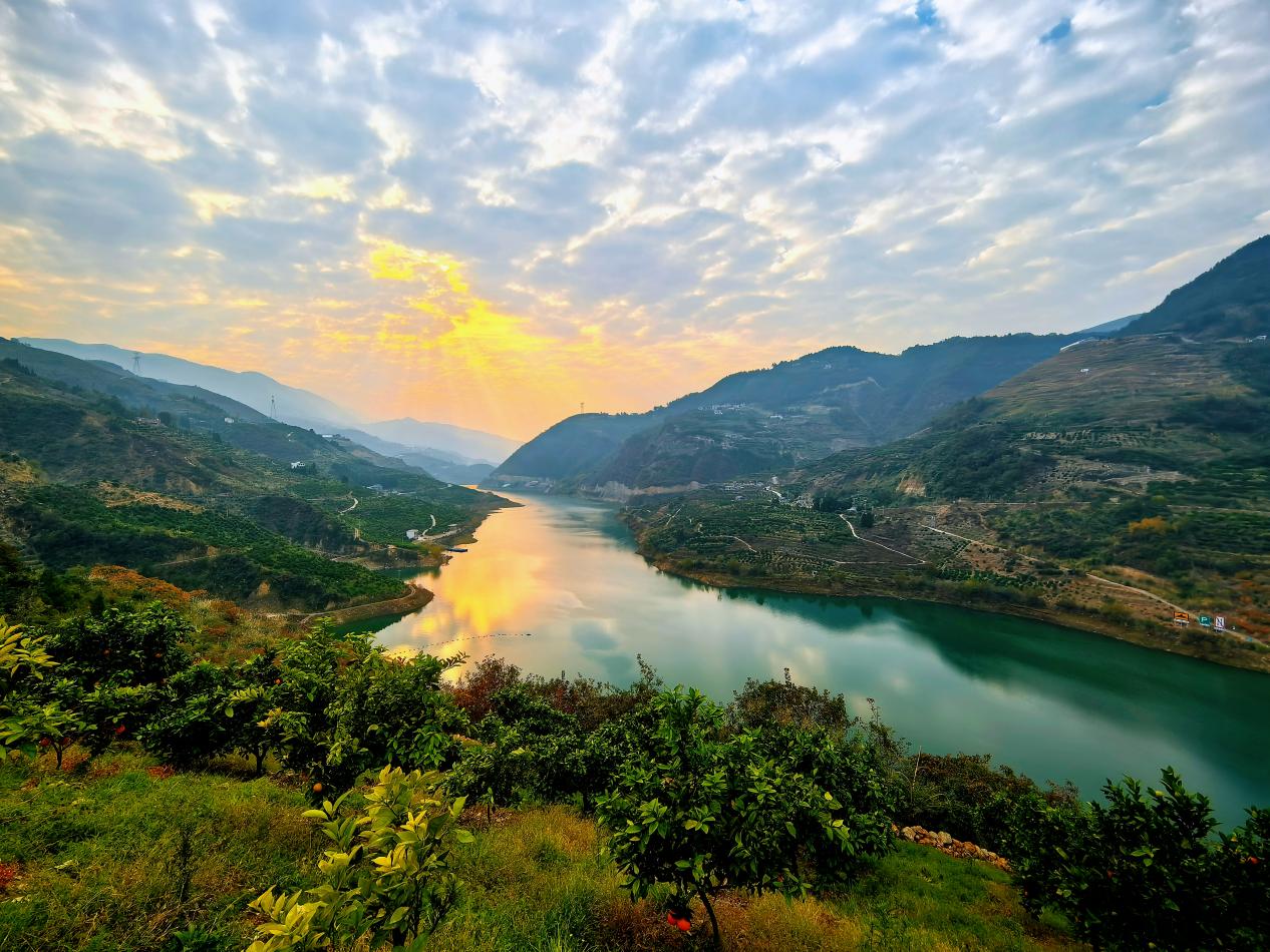 柳池村臍橙產業園風光。李征攝