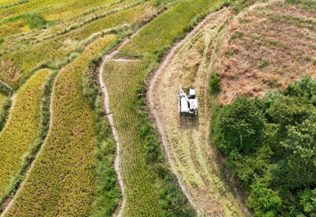 									“大米書記”的新年目標					一月重慶，陽光明媚。　　路好，路熟，心情好。作為重慶綦江區三角鎮中壩村駐村第一書記，黃貞竹嫻熟地開著一輛手動擋汽車，穩穩行駛在盤山路上。　　“誰說女司機不會開山路？”黃貞竹玩笑說：“我們尖山子至興榮段的公路正在整修，你再隔幾個月來，道路又要拓寬了?！?#13;				