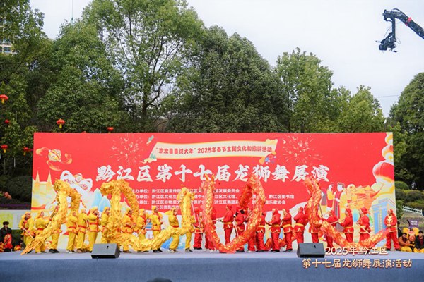 活動現場。主辦方供圖