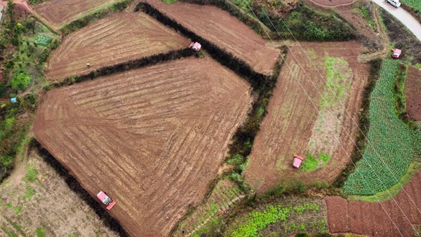 農機手在翻耕高標準農田?！按宕逋惫﹫D