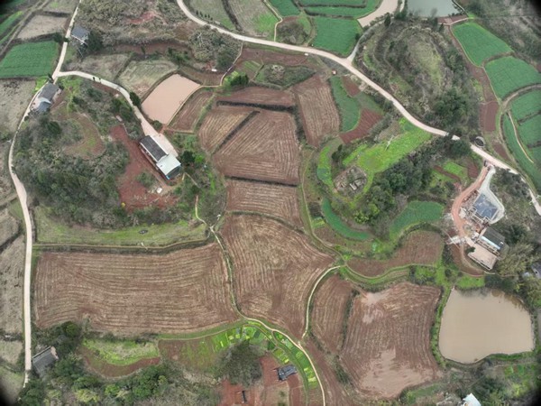 部分高改農田。重慶智慧農服集團供圖