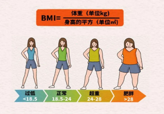 BMI范圍。重慶松山醫院供圖