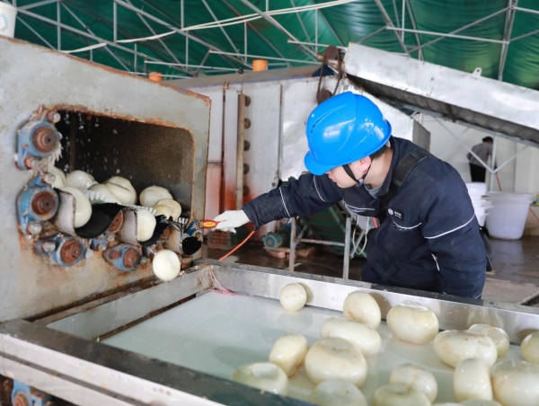 國網重慶綦江供電公司趕水供電所工作人員在雙豐蘿卜加工廠檢查清洗機螺絲有無松動。袁巧攝
