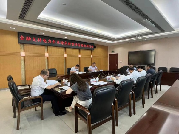 重慶電力協同人行重慶分行及相關金融機構召開金融支持電力企業綠色轉型評價會。劉暢攝