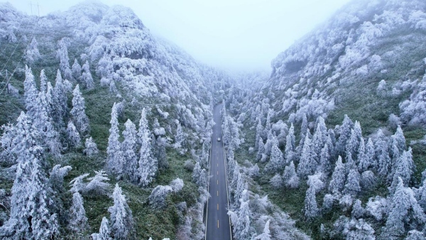 仙女山霧凇。武隆區委宣傳部供圖