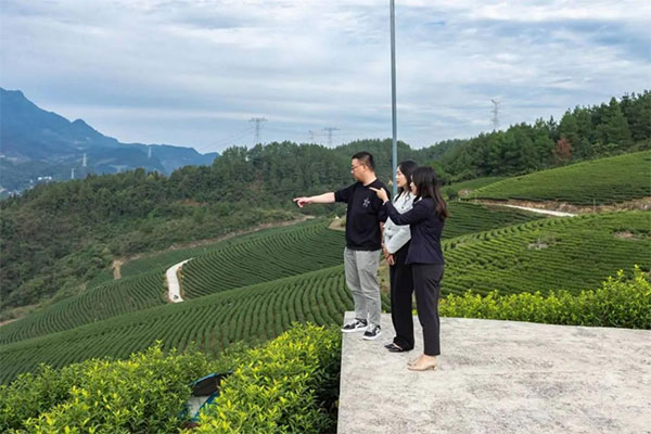重慶銀行工作人員陪同企業相關負責人查看茶樹生長情況。重慶銀行供圖