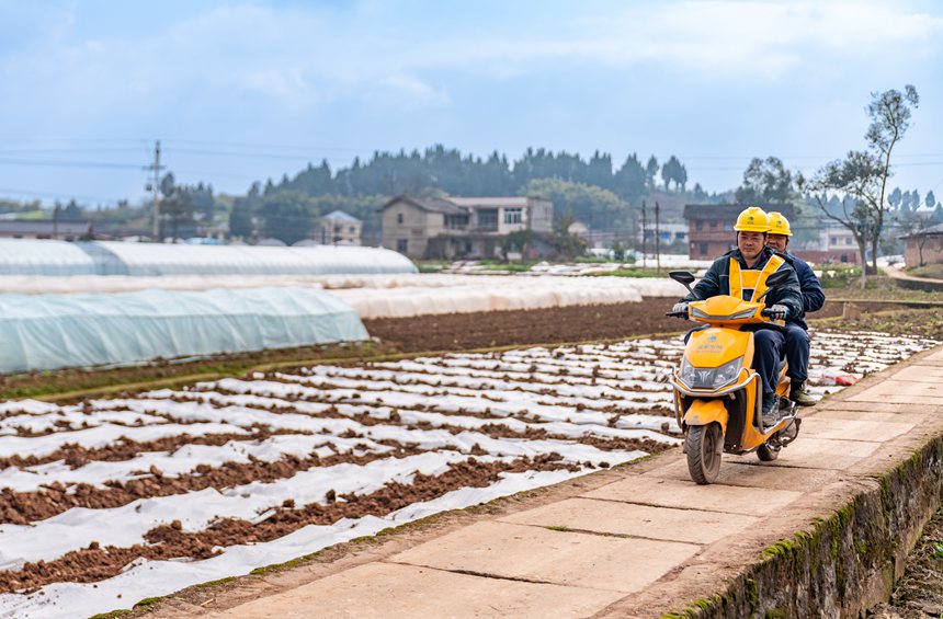 2月25日，在榮昌區吳家鎮雙流村，國網重慶永川供電公司人員以“集中監控+立體巡檢+網格化處置”的高標準巡檢體系開展電力巡檢工作，助力4000余畝高標準農田建設。賴小龍攝