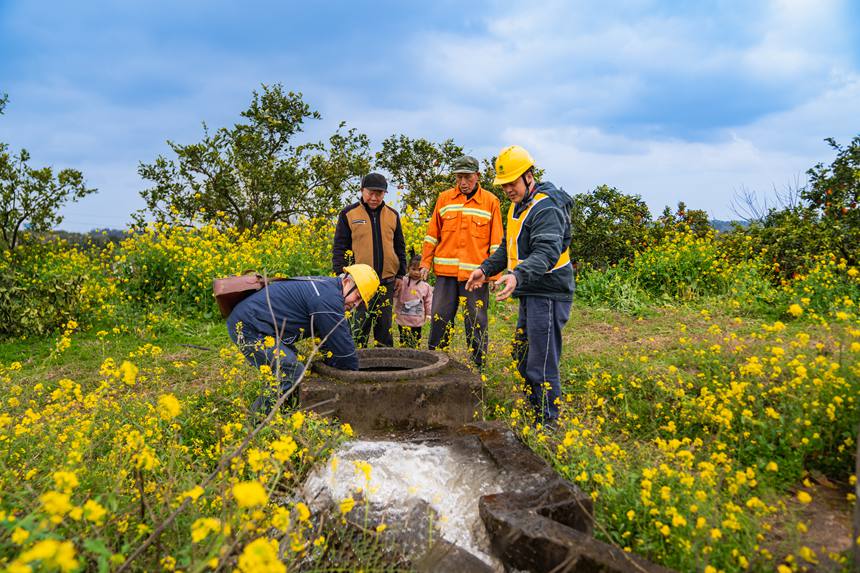 2月25日，在榮昌區清流鎮馬草村血橙種植基地，國網重慶永川供電公司工作人員和果農在一起勞作，了解現階段用電需求，確保果園的噴灌、水肥一體化、凍庫運行等用電設備能夠正常運行。賴小龍攝