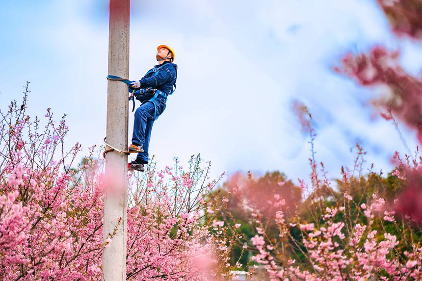 2月25日，在榮昌峰高街道金銀村，國網重慶永川供電公司大力促進“電力+文旅”融合，對櫻花園春灌用電進行全面檢查維護，同時向游客宣講保護電力設施知識。賴小龍攝