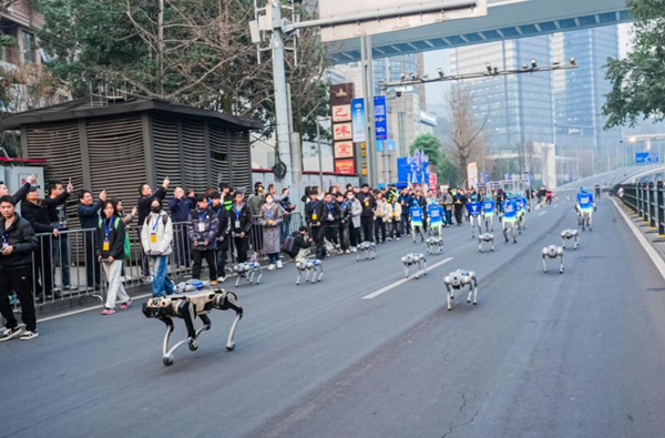 現場助力的機器狗和機器人。主辦方供圖