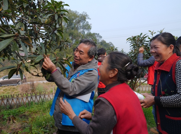 志愿者馬狄飛（圖左）在給種植大戶講解枇杷疏果套袋技術。秦廷富攝