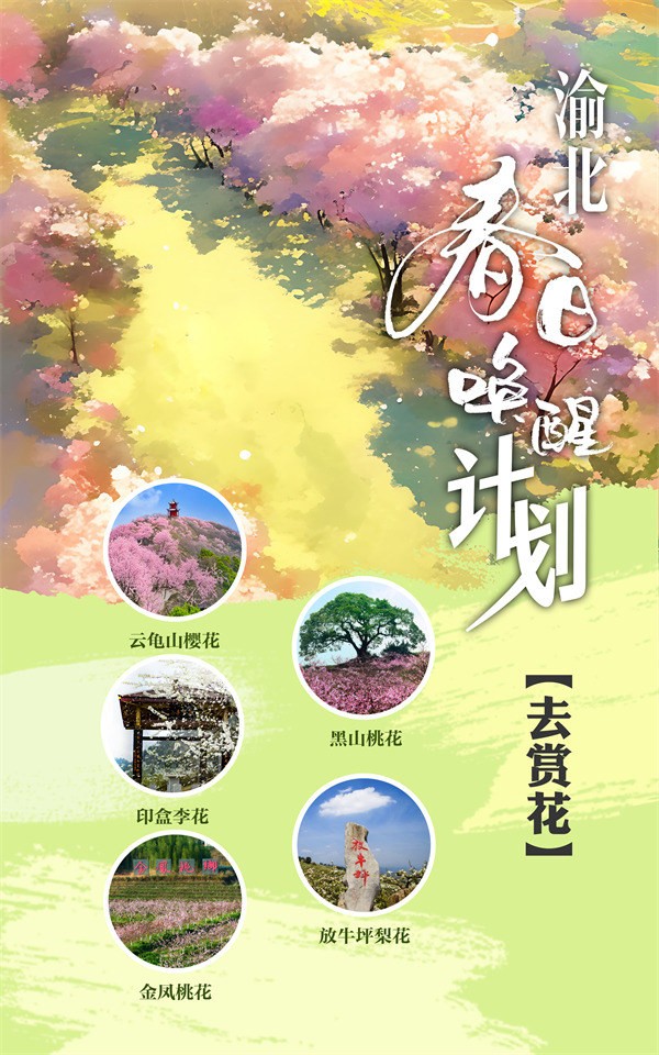 “去賞花”計劃。渝北區文化旅游委供圖