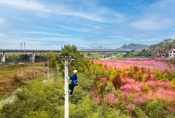 電力員工在電桿上作業。國網重慶永川供電公司供圖