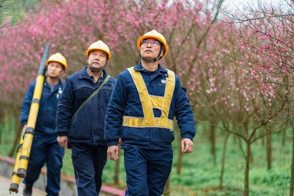 電力員工開展園區線路巡檢。國網重慶永川供電公司供圖