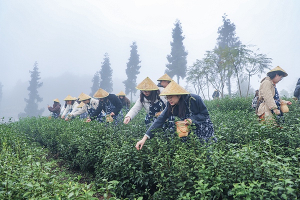 活動現場。主辦方供圖