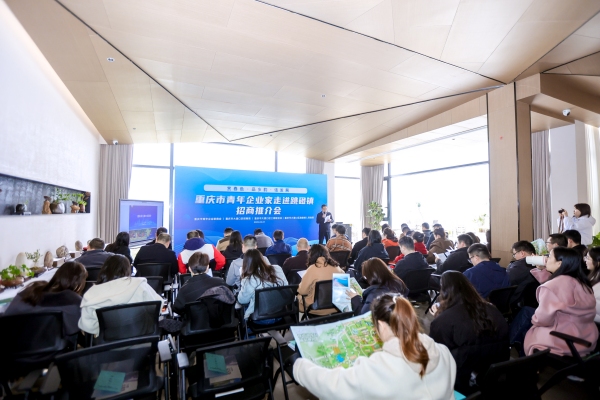 重慶青年企業家走進大渡口跳磴鎮。跳磴鎮供圖