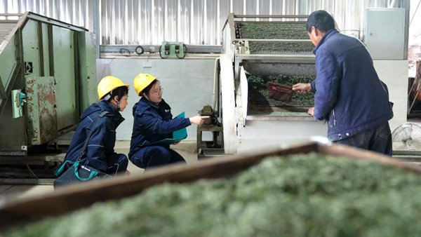 電力人員檢查設備安全運行情況。國網重慶永川供電公司供圖