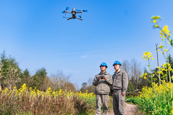 電力人員利用無人機巡檢線路。國網重慶永川供電公司供圖