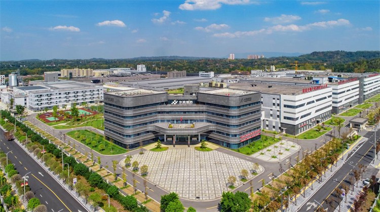 華森制藥從這里走向世界。榮昌區委宣傳部供圖