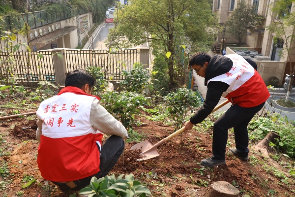 青年志愿者開展義務植樹活動。受訪者供圖