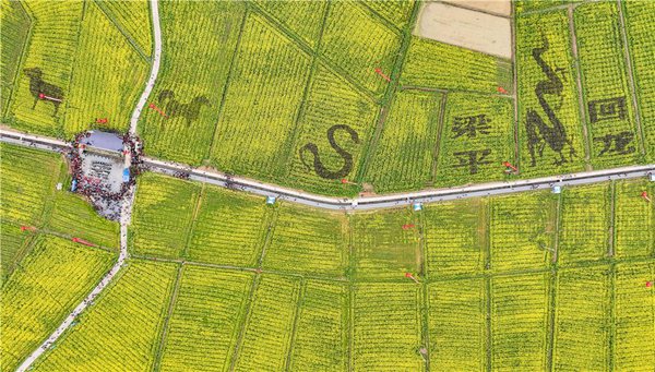 “新和富美·春滿龍田”回龍鎮2025油菜花海旅游季啟幕活動現場。熊偉攝