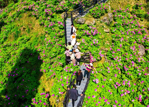 愷之峰旅游區。龔長浩攝