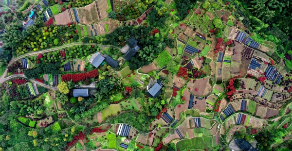 太公山七彩梯田。江津區委宣傳部供圖