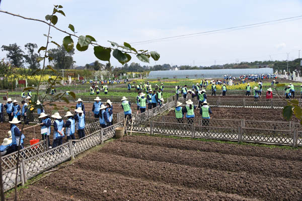 參觀津地禾教學點。江津區教委供圖