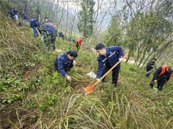 植樹活動現場。張華攝