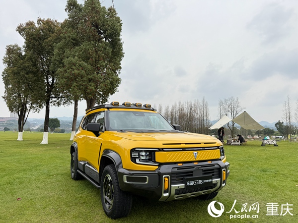 深藍G318無憂穿越版。人民網記者 胡虹攝