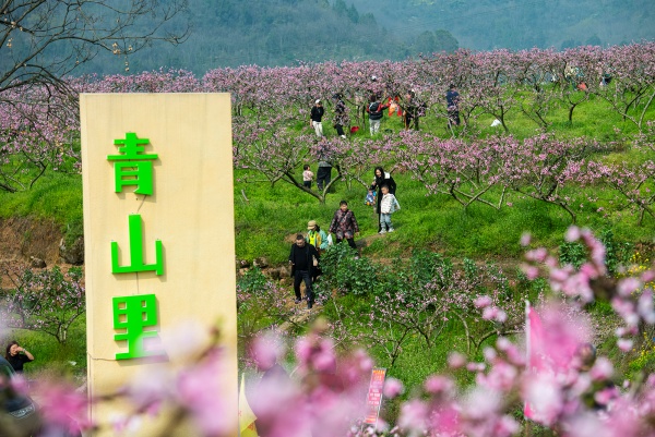 市民在果園里暢游。冉孟軍攝