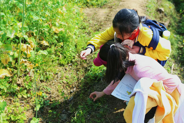 跨學科課程。人民（融僑）小學供圖