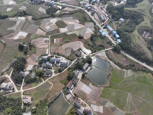 重慶梁平區四方村1號臺區配網改造工程智能化驗收現場。梁燕攝