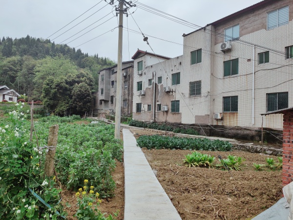 修繕后的步道。受訪者供圖