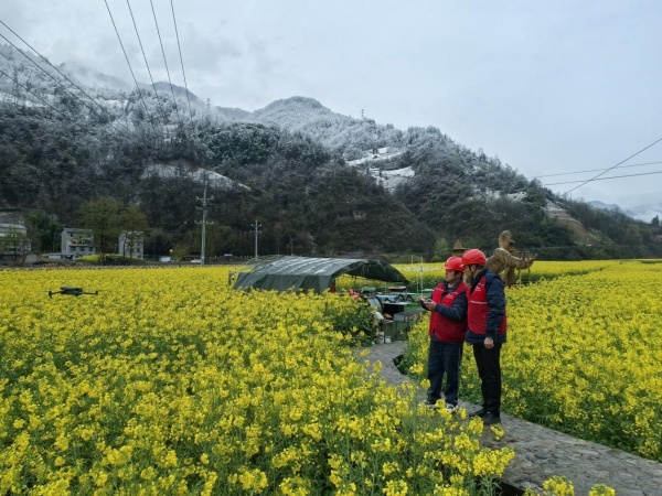 3月28日，國家電網重慶電力（城口營銷）紅巖共產黨服務隊隊員劉陽、王征在枇杷村了解春耕春種情況，排查線路設備隱患。陳鑒森攝